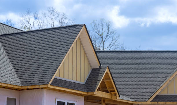 Best Roof Insulation Installation  in Robersonville, NC